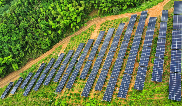 1749536256238361.png grand hv case.png